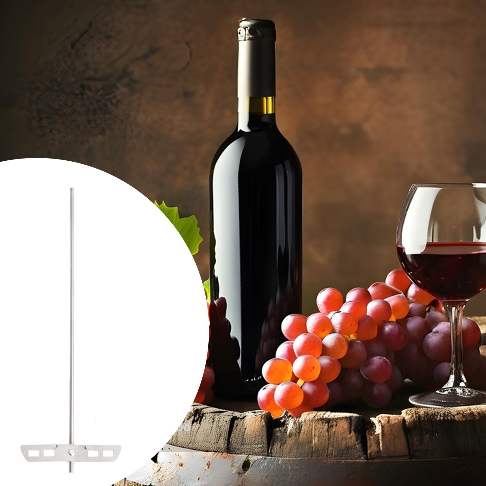 Wine With Beer Mix - Yüksek Verimli Gaz Giderme Çırpıcı Paslanmaz